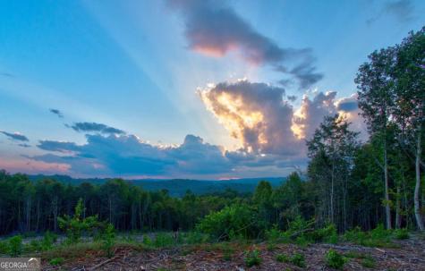 6.7 Grateful View Drive Dahlonega GA 30533