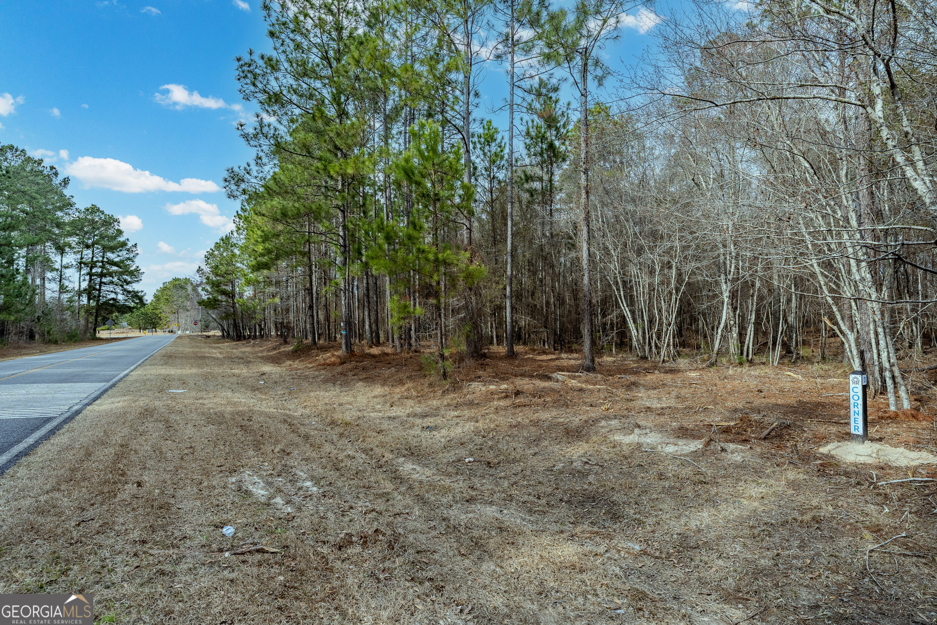 Tract 1 Wilson Woodard Road Eastman GA 31023
