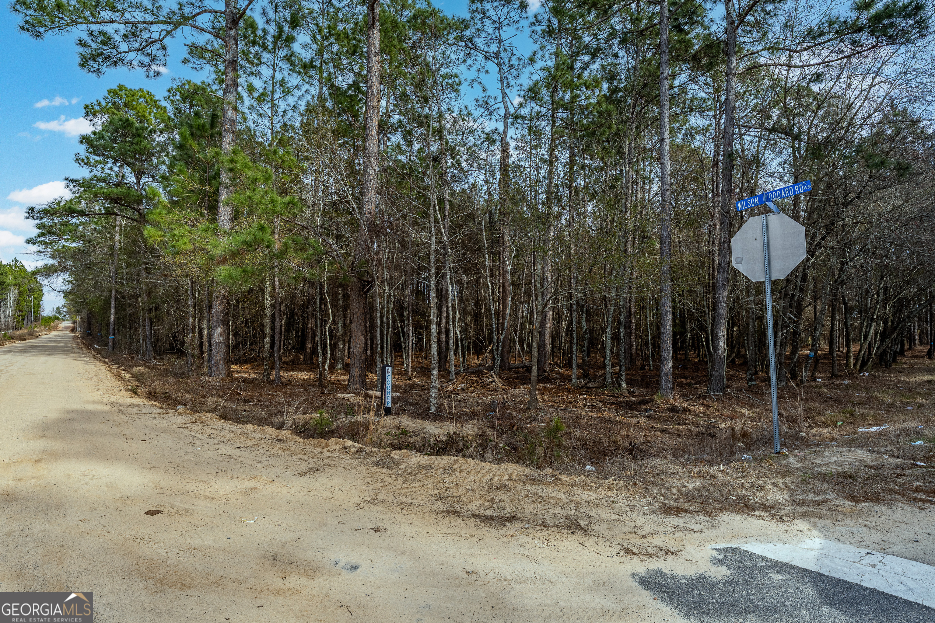 Tract 1 Wilson Woodard Road Eastman GA 31023