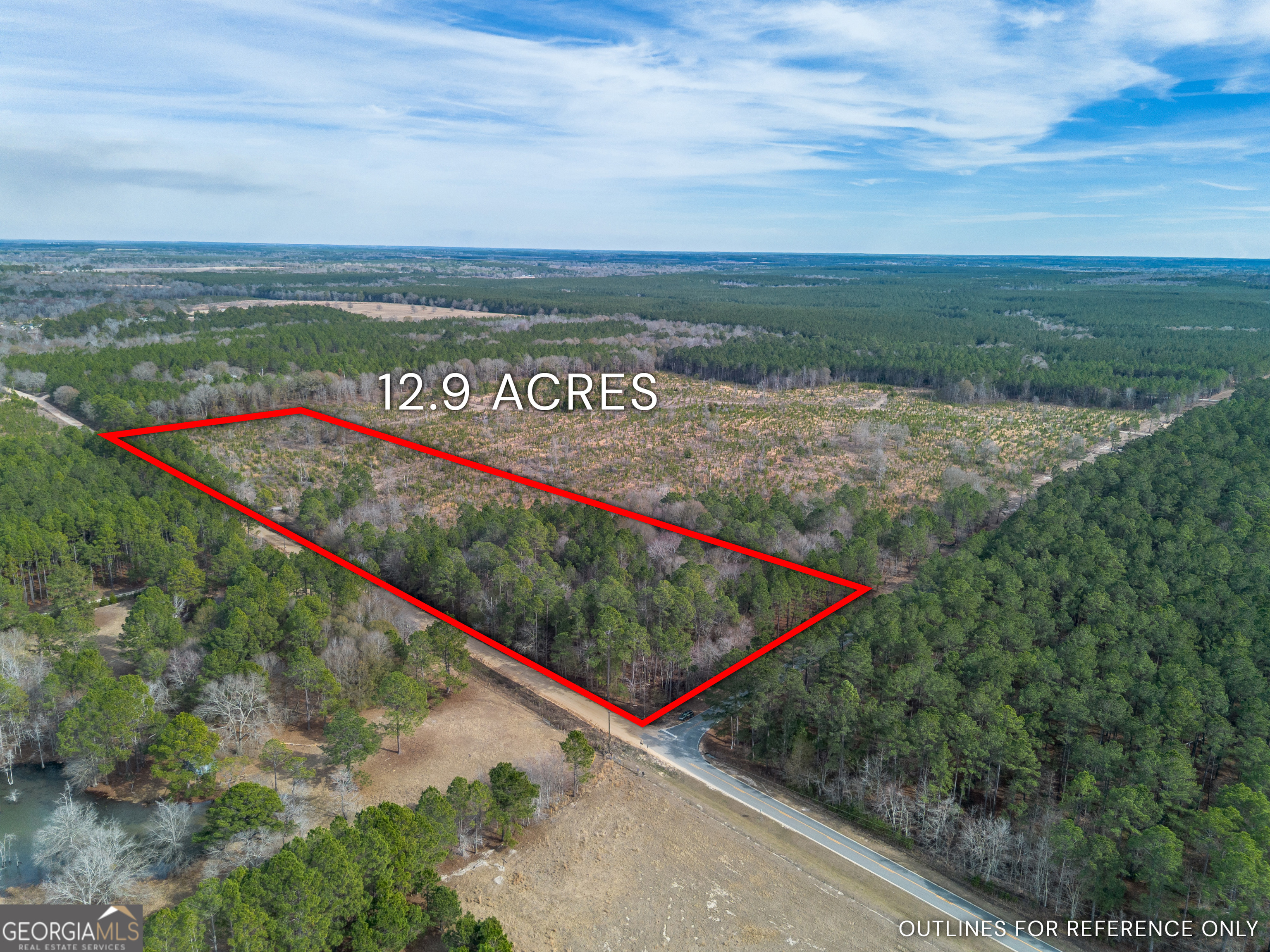 Tract 1 Wilson Woodard Road Eastman GA 31023