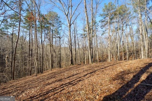 1884 Finale Street Talking Rock GA 30175