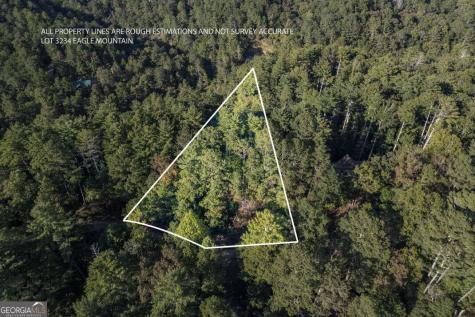 Lot 3234 Eagle Mountain Ellijay GA 30536