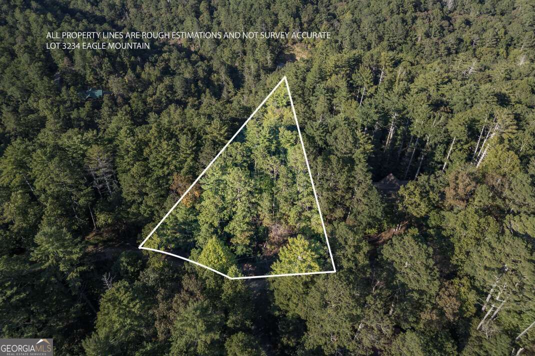 Lot 3234 Eagle Mountain Ellijay GA 30536