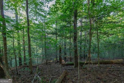 Lot 3234 Eagle Mountain Ellijay GA 30536