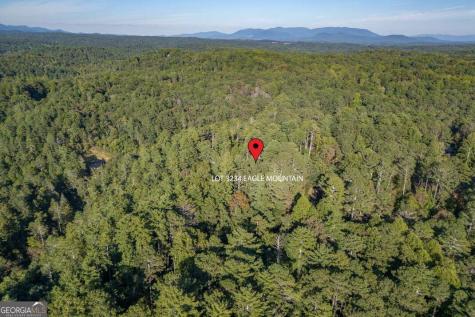 Lot 3234 Eagle Mountain Ellijay GA 30536