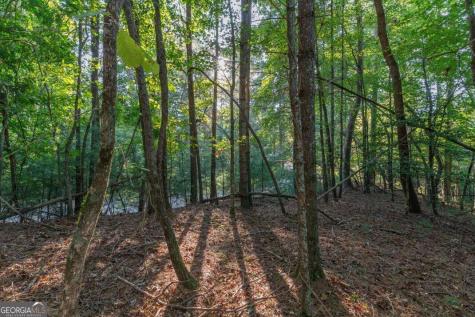 Lot 3234 Eagle Mountain Ellijay GA 30536