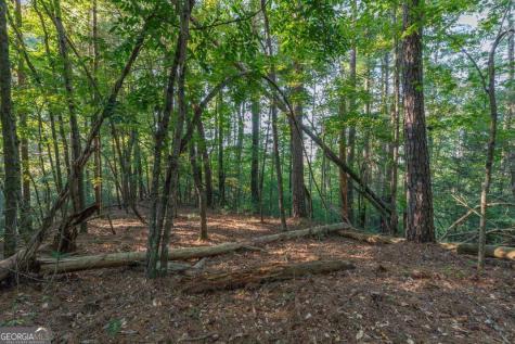 Lot 3234 Eagle Mountain Ellijay GA 30536