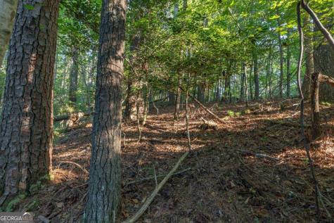 Lot 3234 Eagle Mountain Ellijay GA 30536