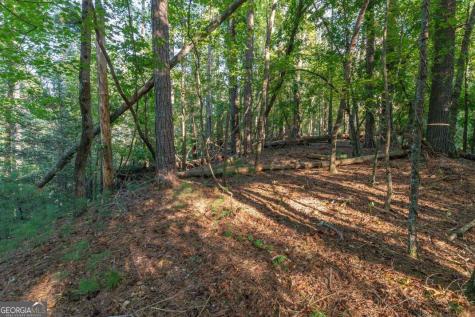 Lot 3234 Eagle Mountain Ellijay GA 30536