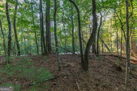 Lot 3234 Eagle Mountain Ellijay GA 30536
