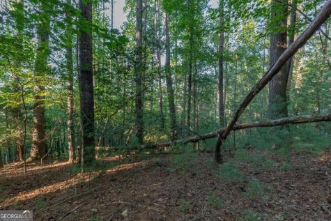 Lot 3234 Eagle Mountain Ellijay GA 30536
