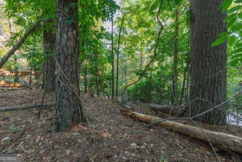 Lot 3234 Eagle Mountain Ellijay GA 30536
