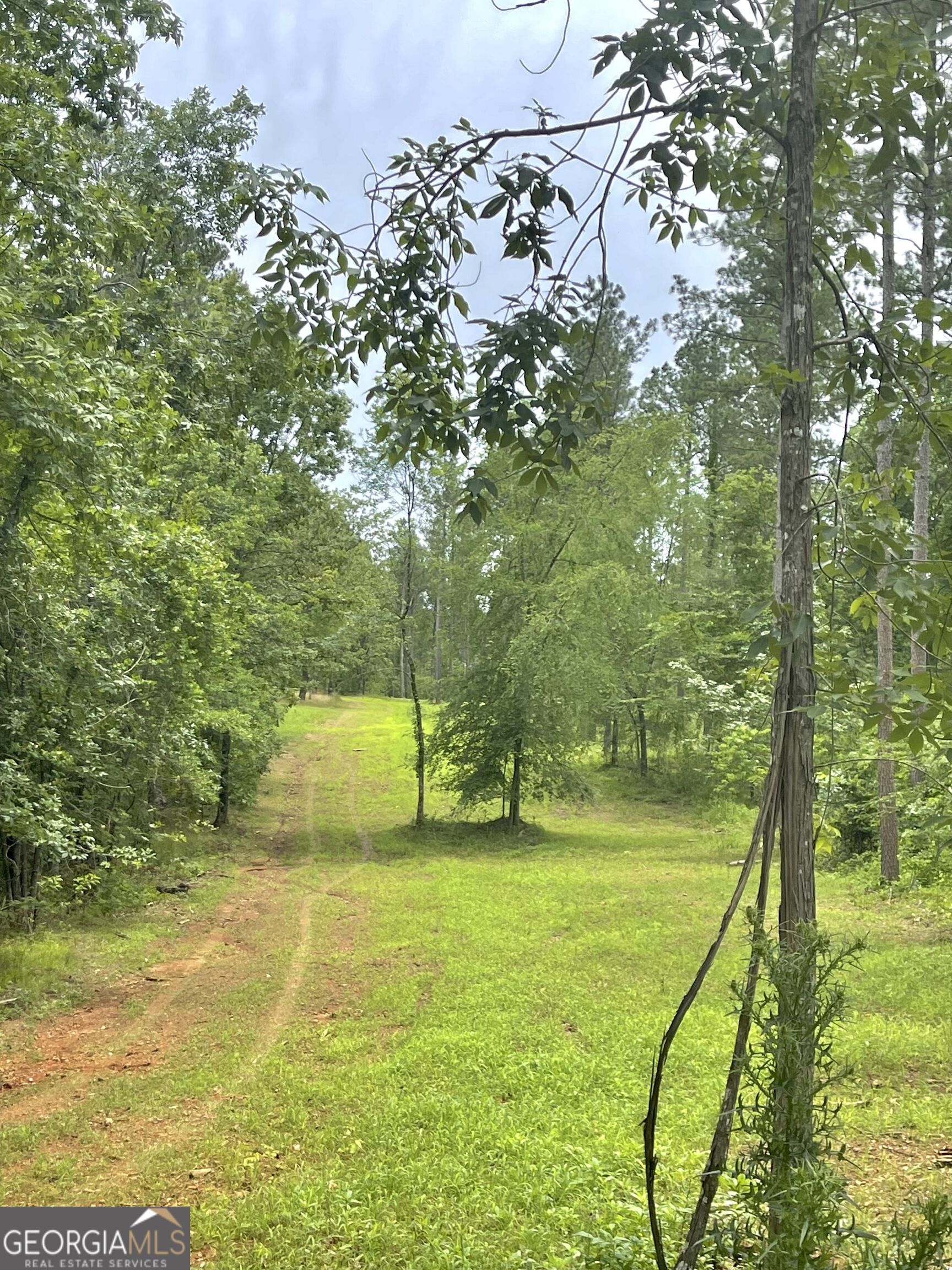 592 Arnold Caldwell Road Carlton GA 30627