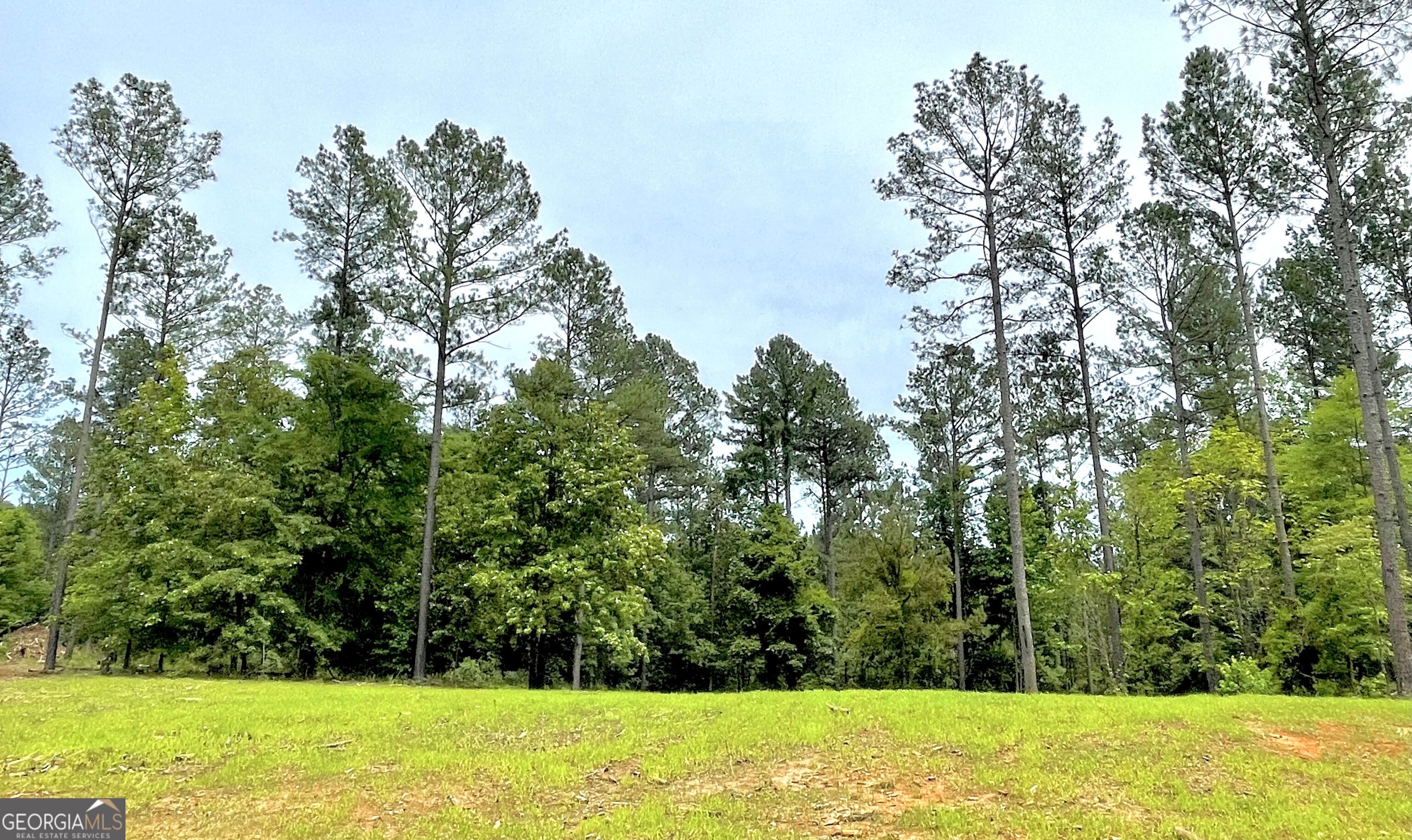 592 Arnold Caldwell Road Carlton GA 30627
