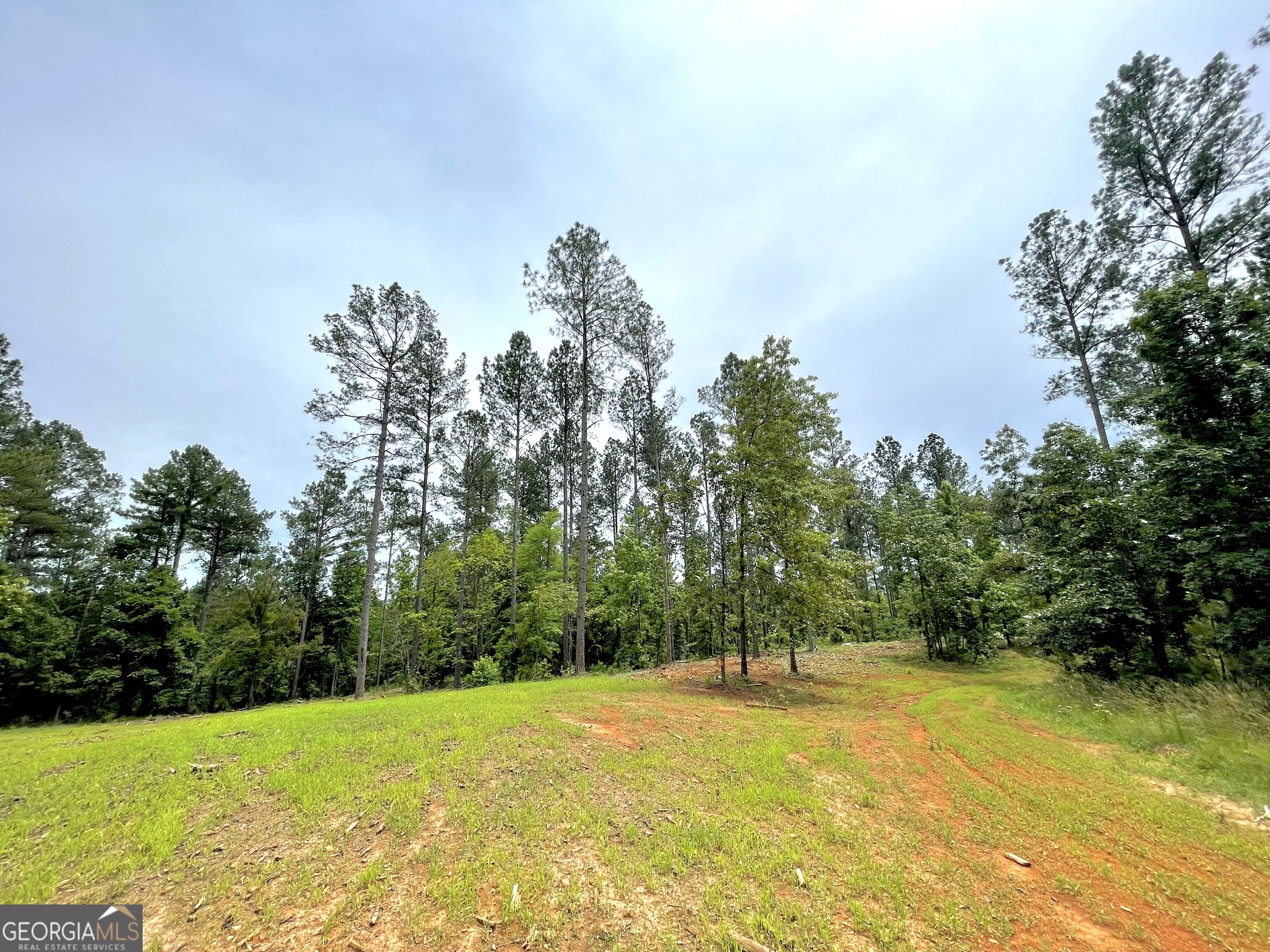 592 Arnold Caldwell Road Carlton GA 30627