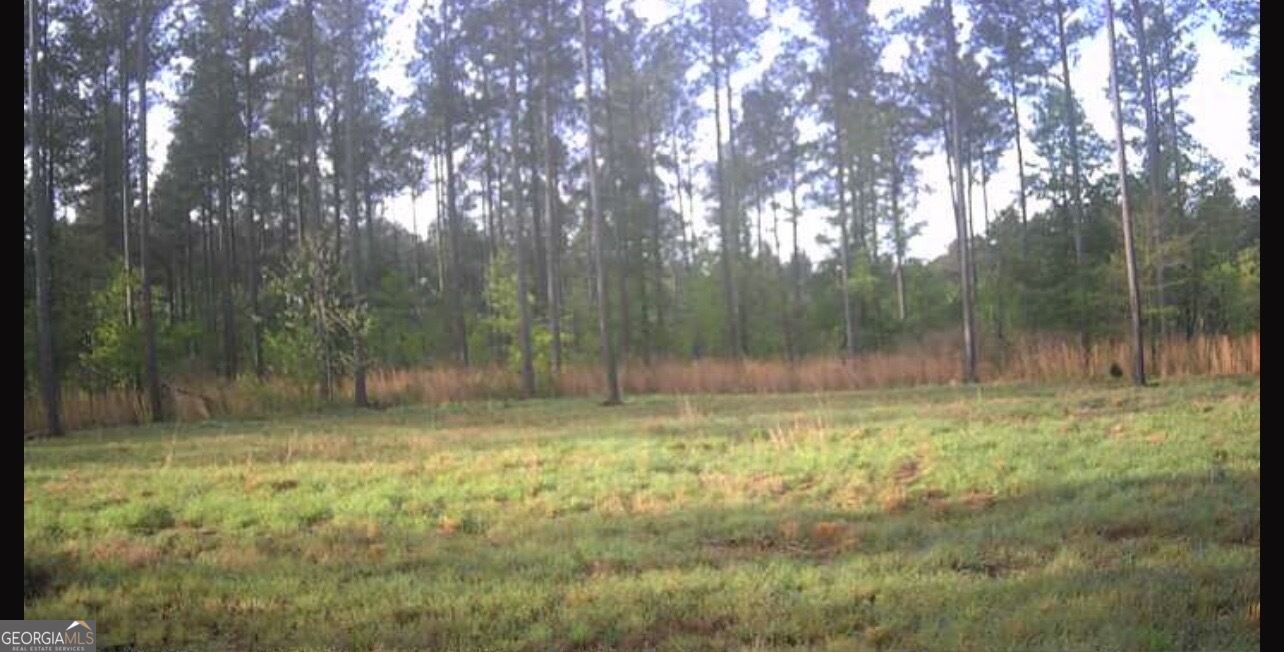 592 Arnold Caldwell Road Carlton GA 30627