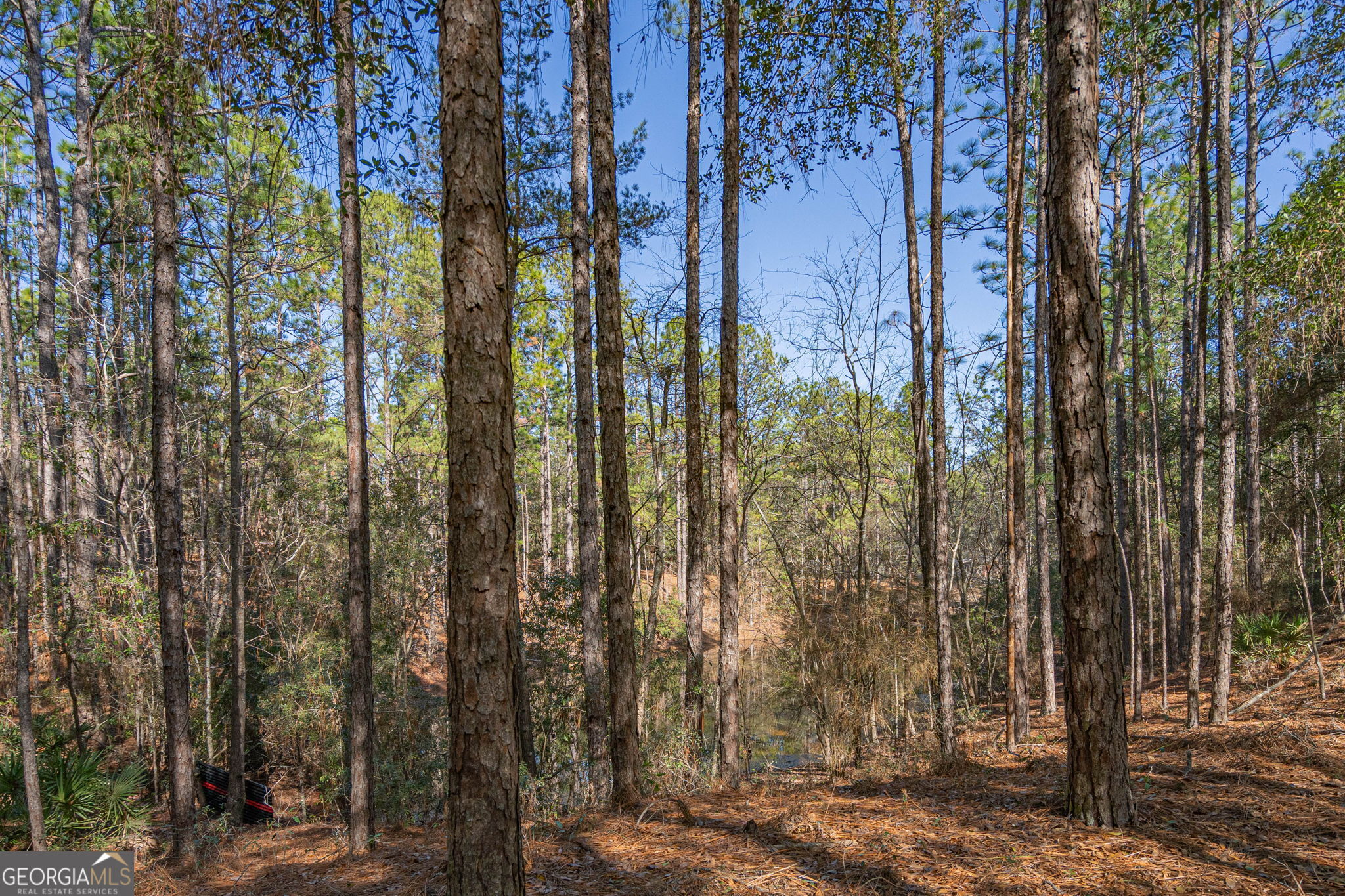 0 Holly Drive Eden GA 31307