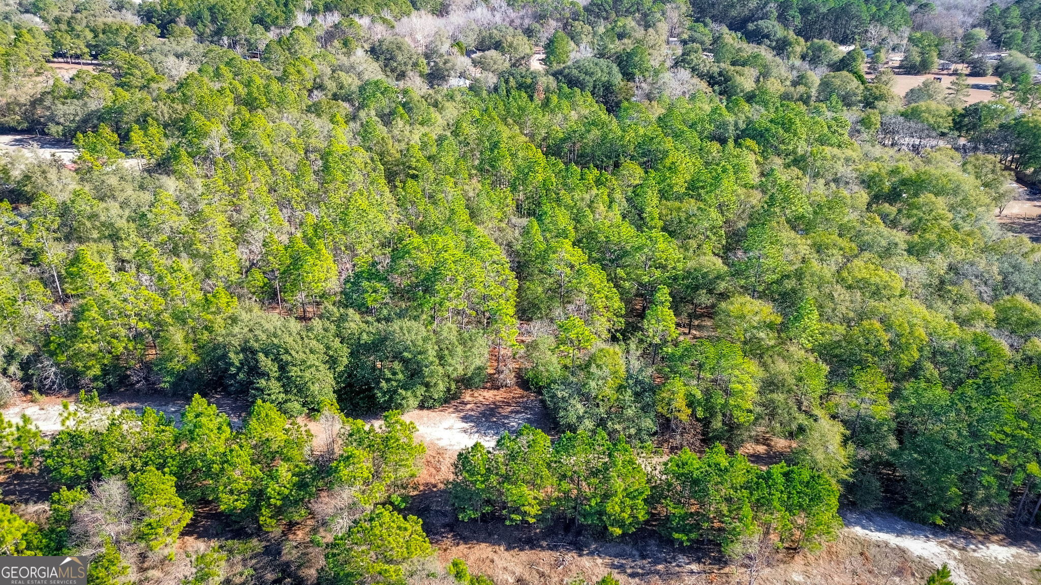 0 Holly Drive Eden GA 31307