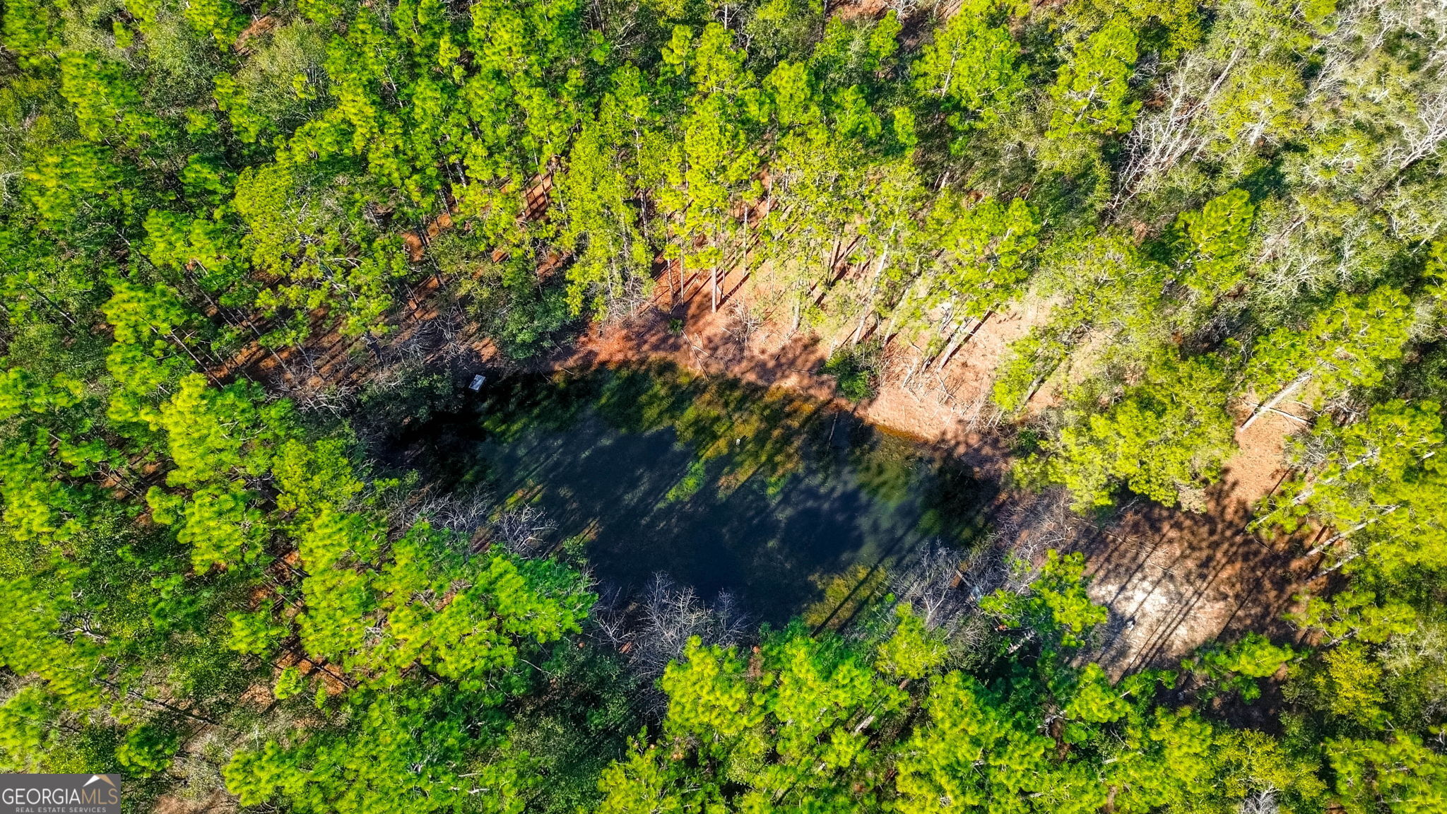 0 Holly Drive Eden GA 31307