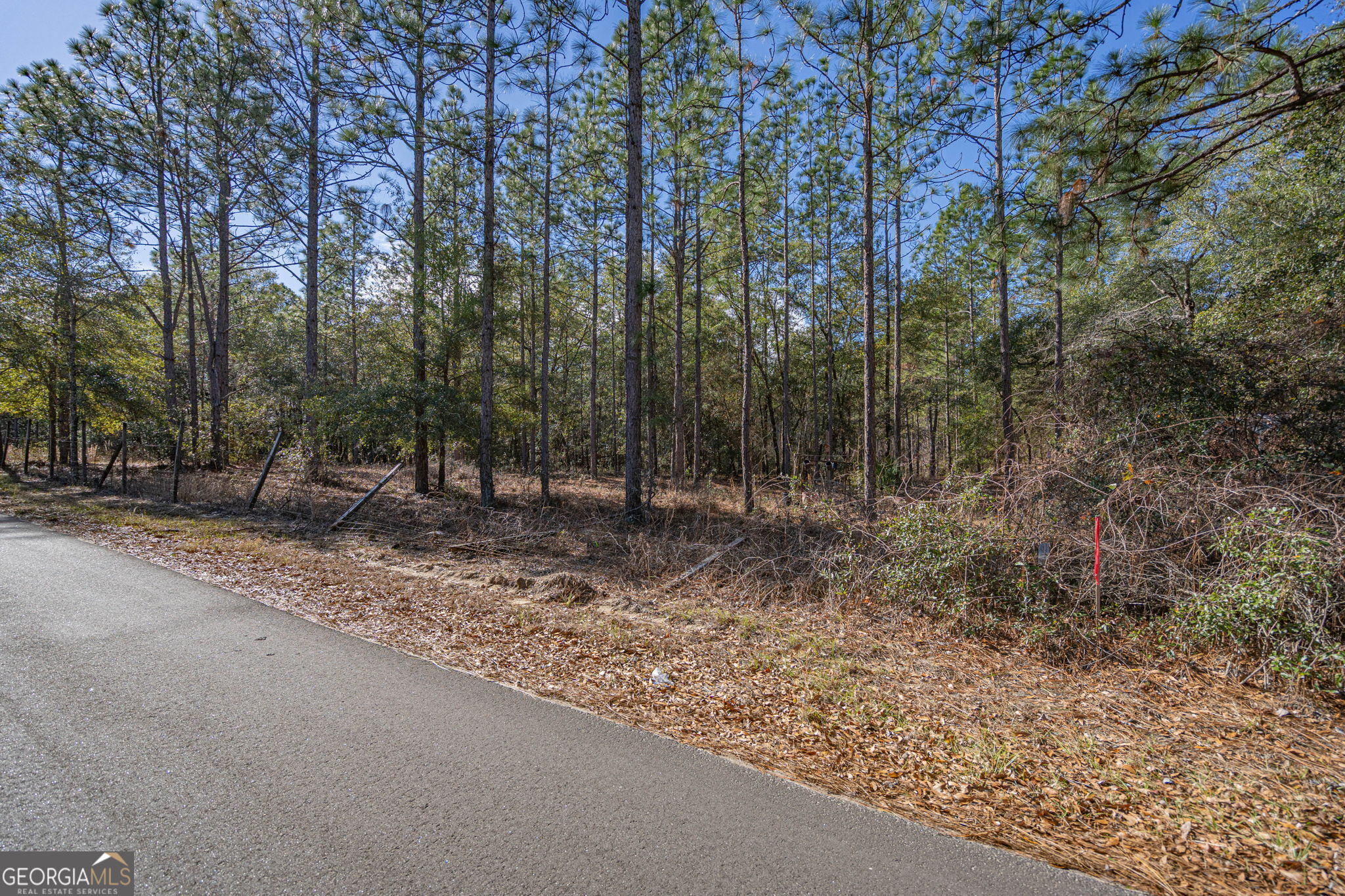 0 Holly Drive Eden GA 31307