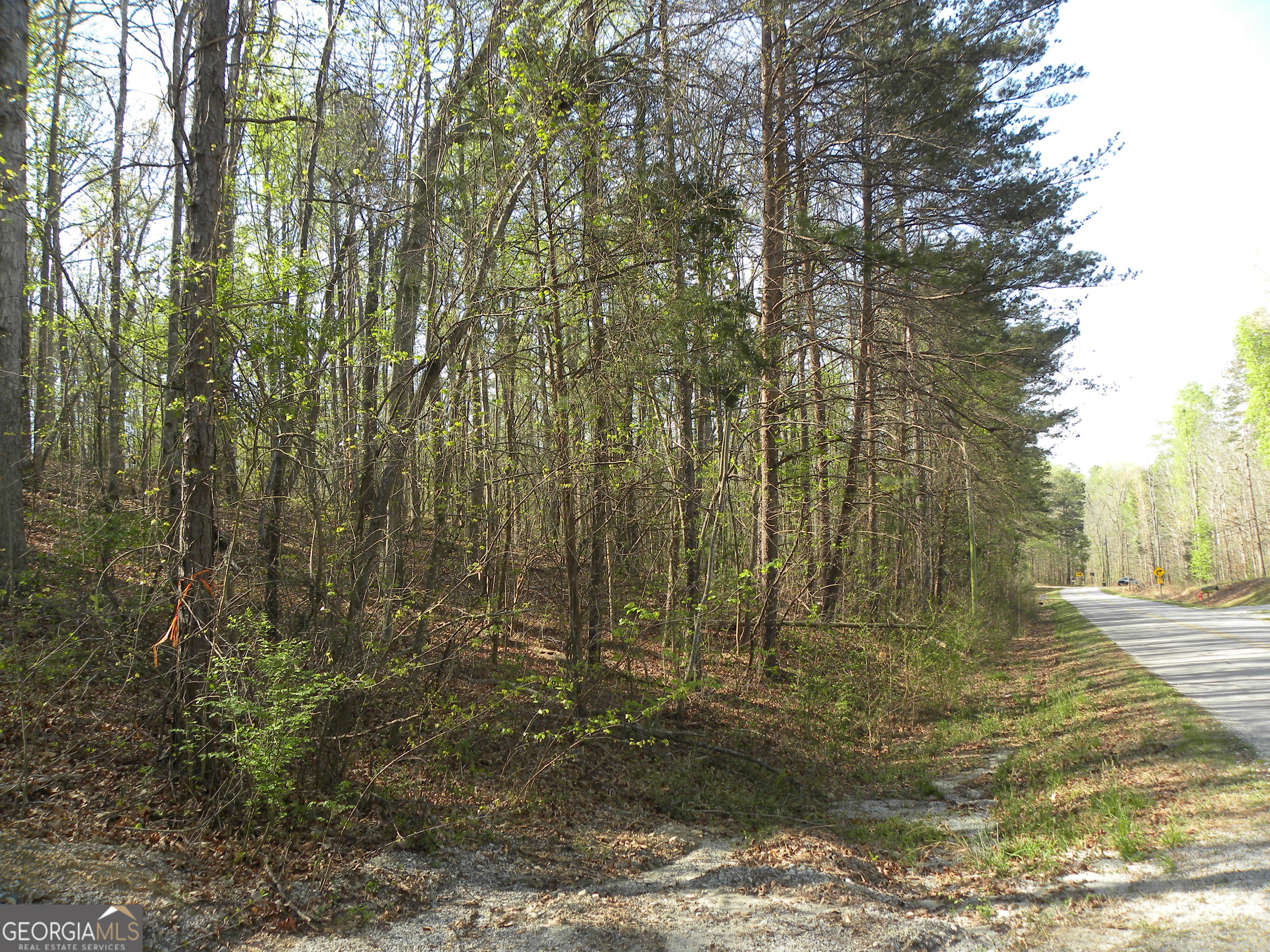 1323 Seven Forks Road Martin GA 30557