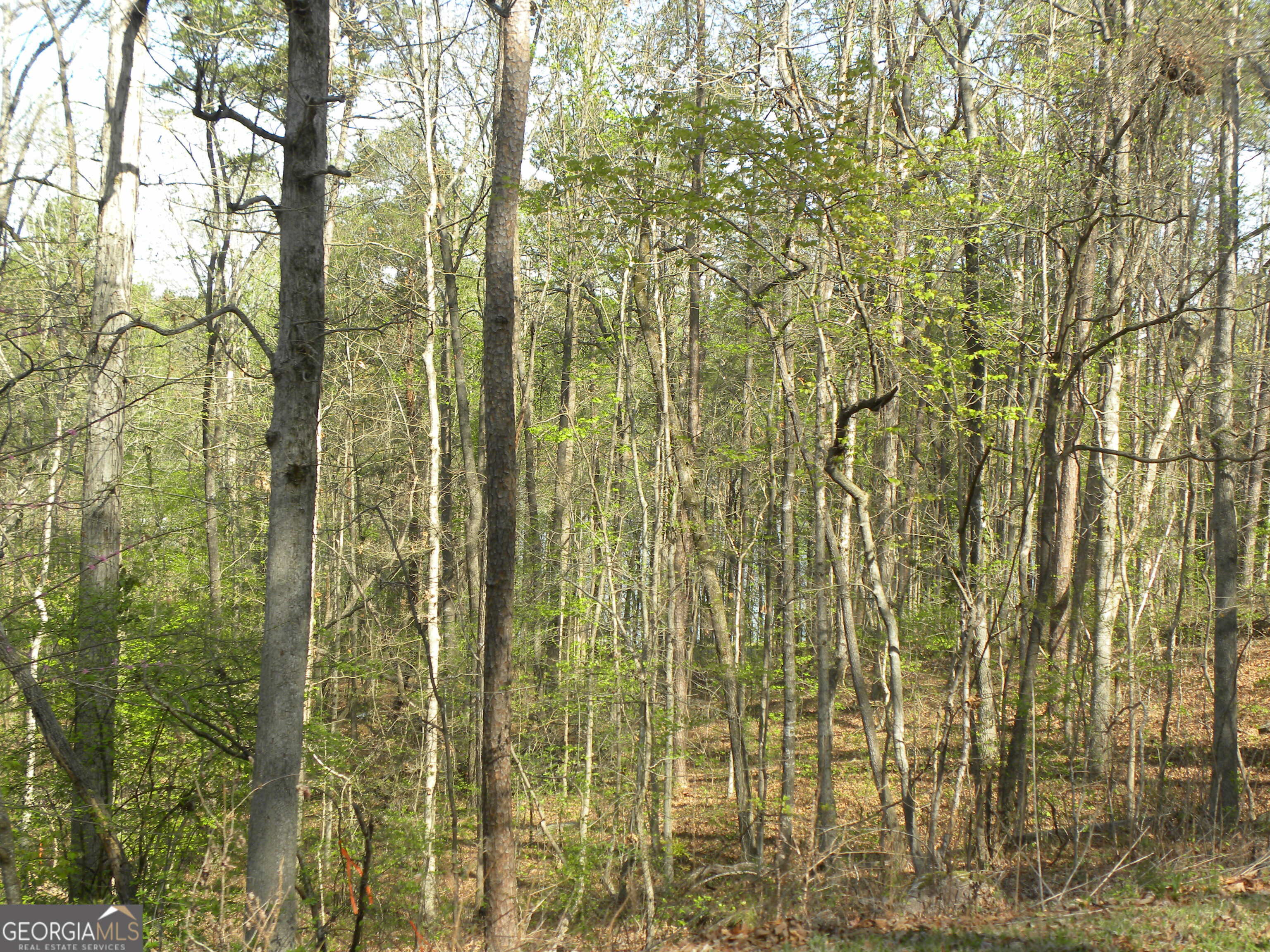 1323 Seven Forks Road Martin GA 30557