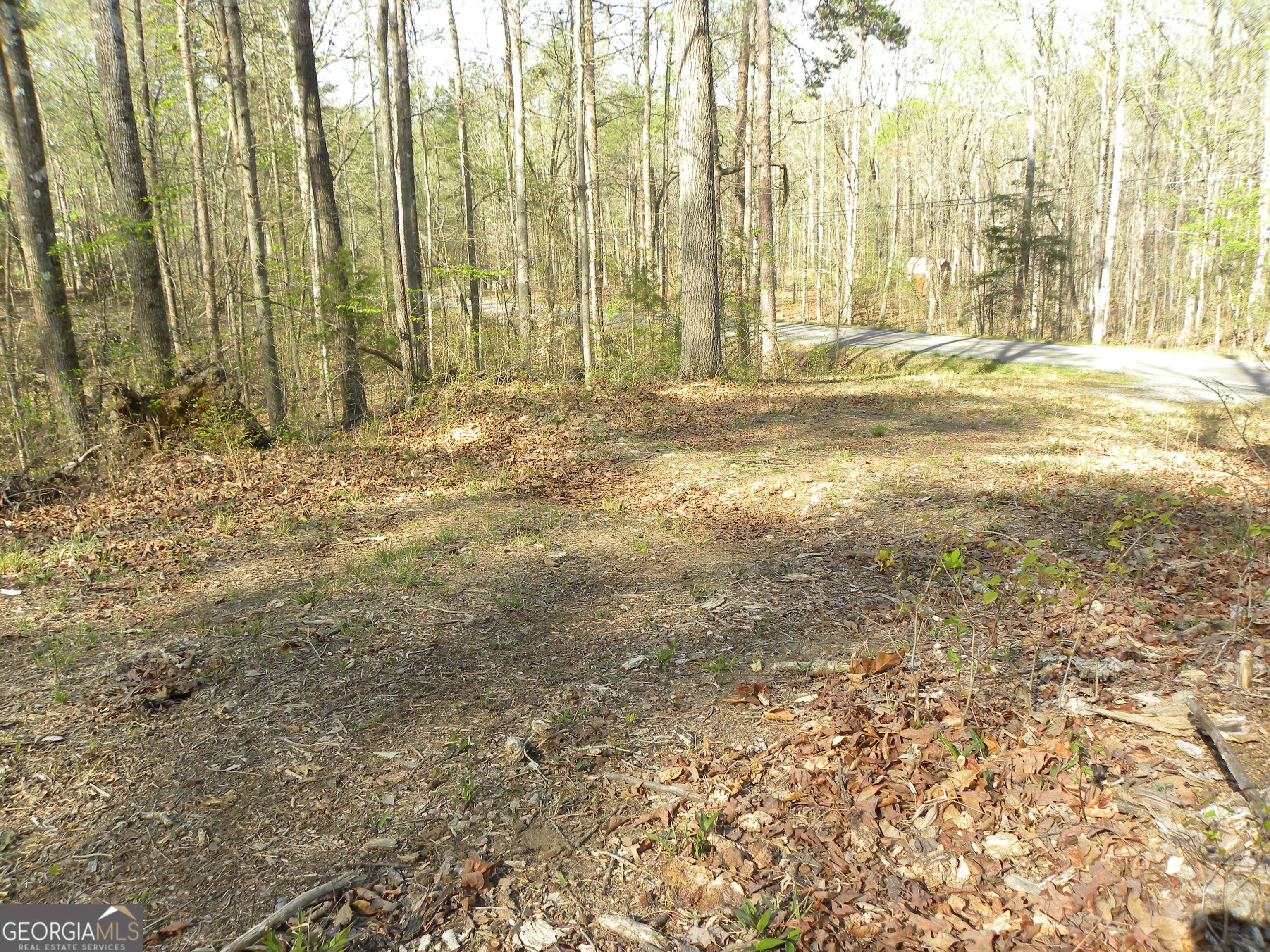 1323 Seven Forks Road Martin GA 30557