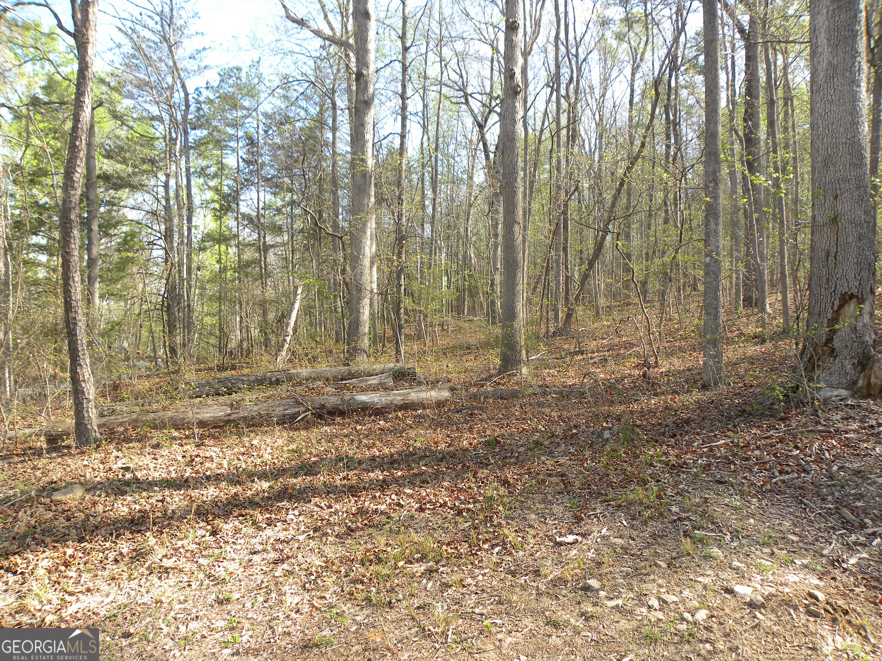 1323 Seven Forks Road Martin GA 30557