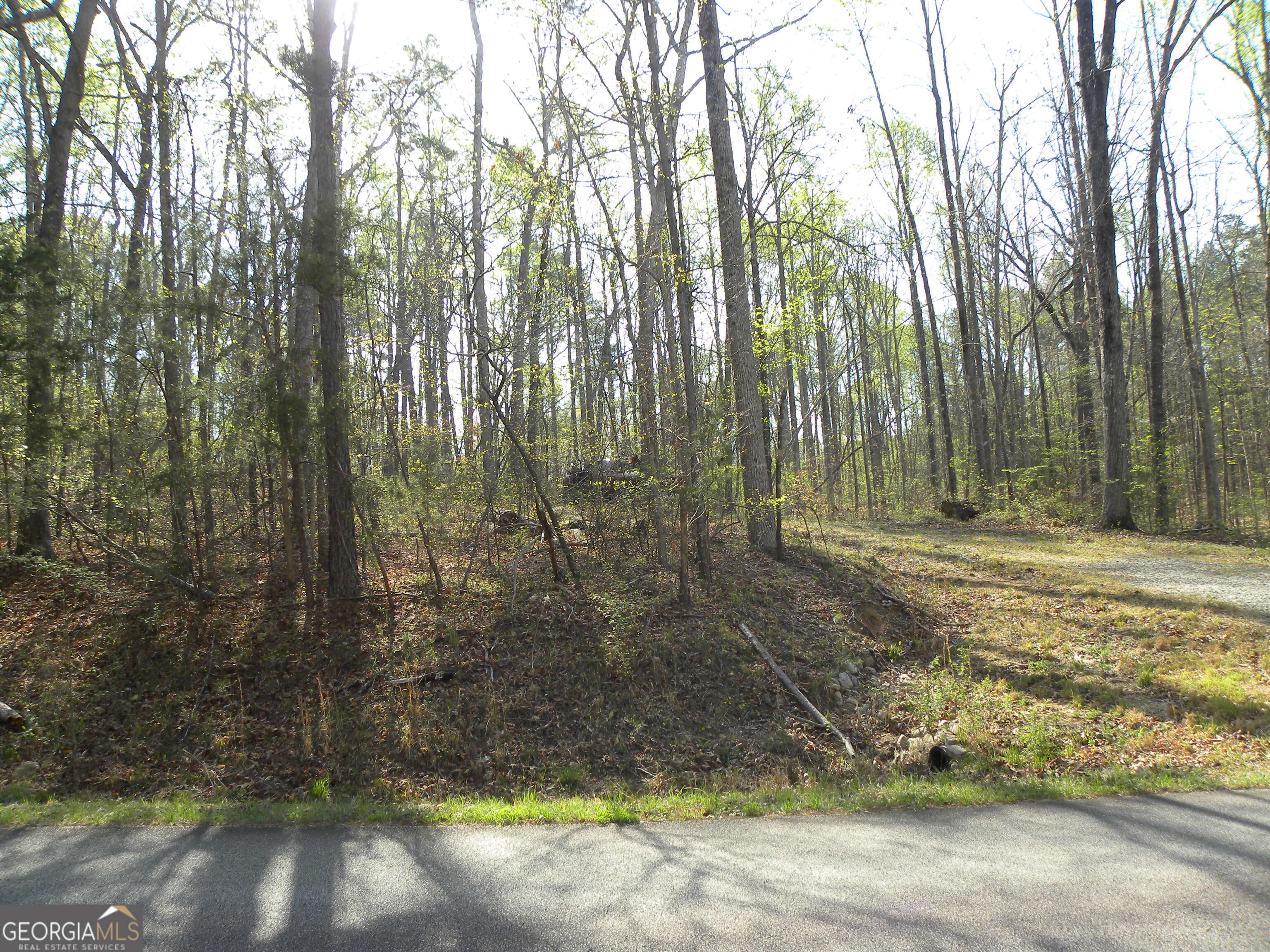 1323 Seven Forks Road Martin GA 30557