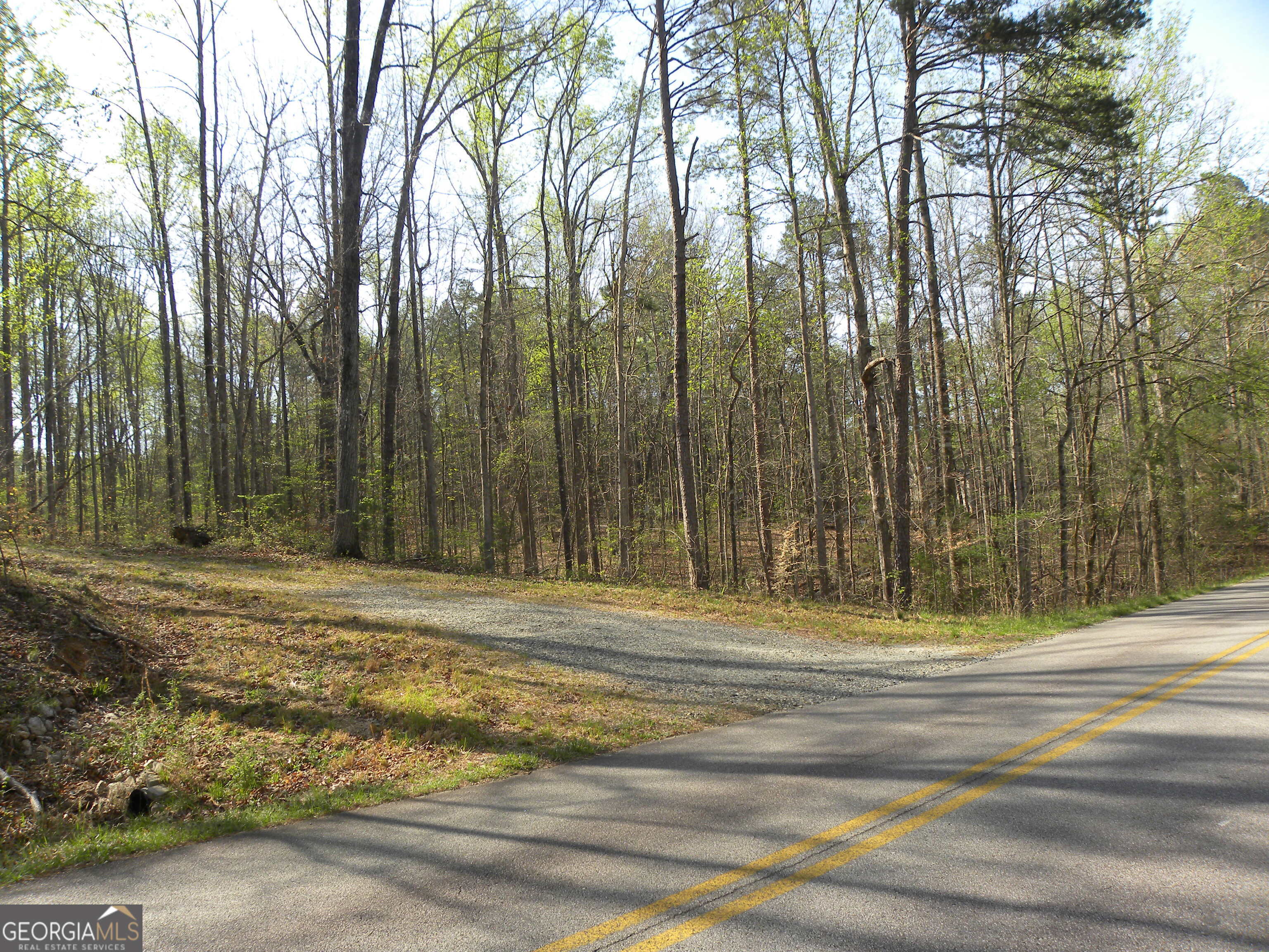 1323 Seven Forks Road Martin GA 30557