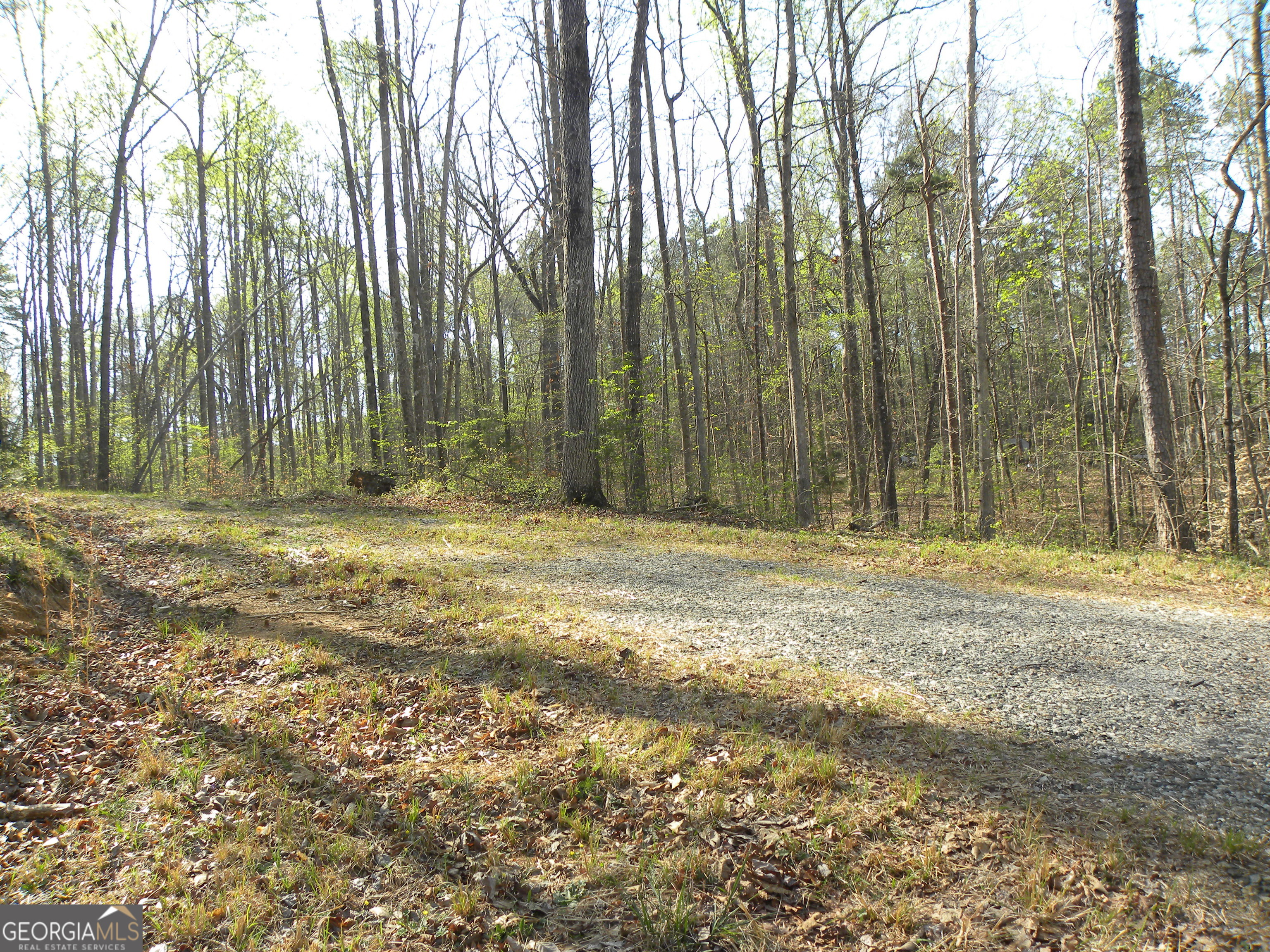 1323 Seven Forks Road Martin GA 30557