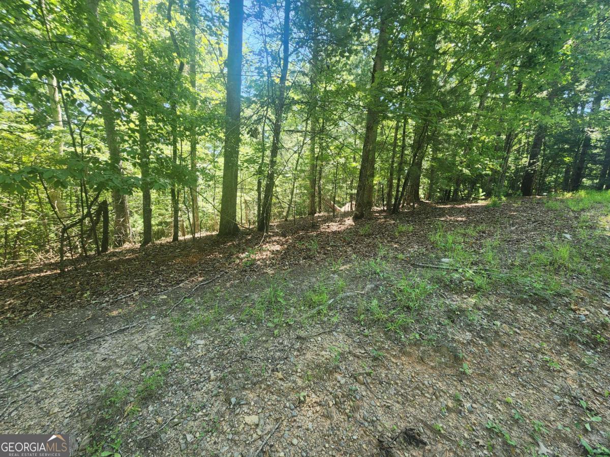 Lot 3 Meadow View Drive Morganton GA 30560