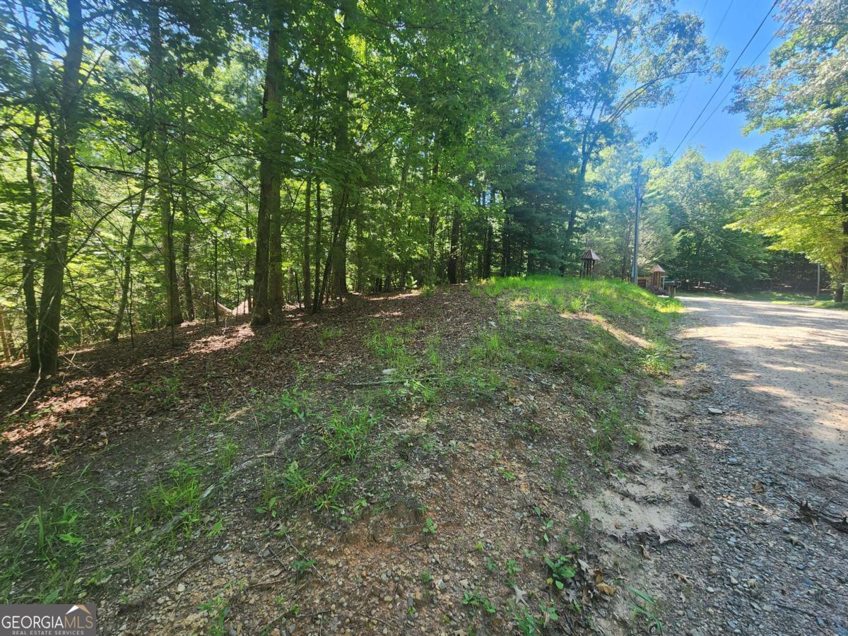 Lot 3 Meadow View Drive Morganton GA 30560