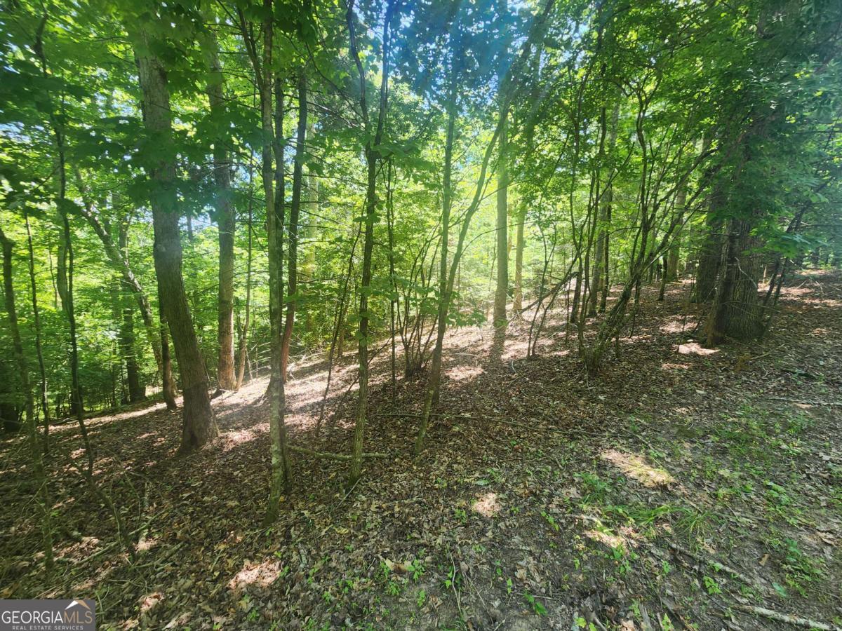 Lot 3 Meadow View Drive Morganton GA 30560