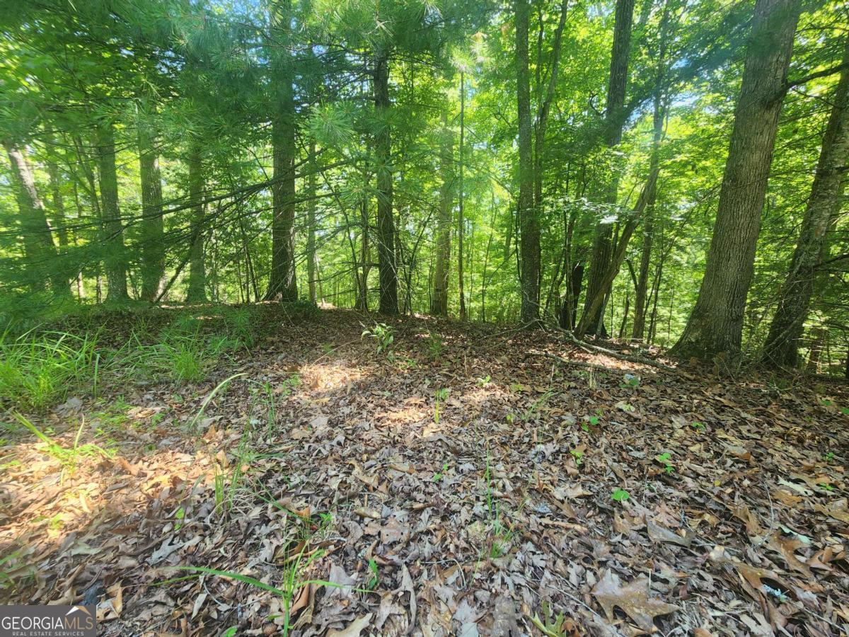 Lot 3 Meadow View Drive Morganton GA 30560