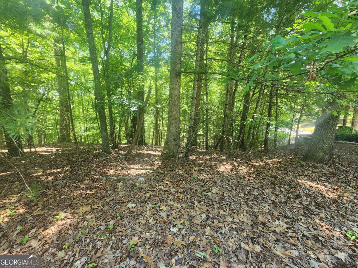 Lot 3 Meadow View Drive Morganton GA 30560