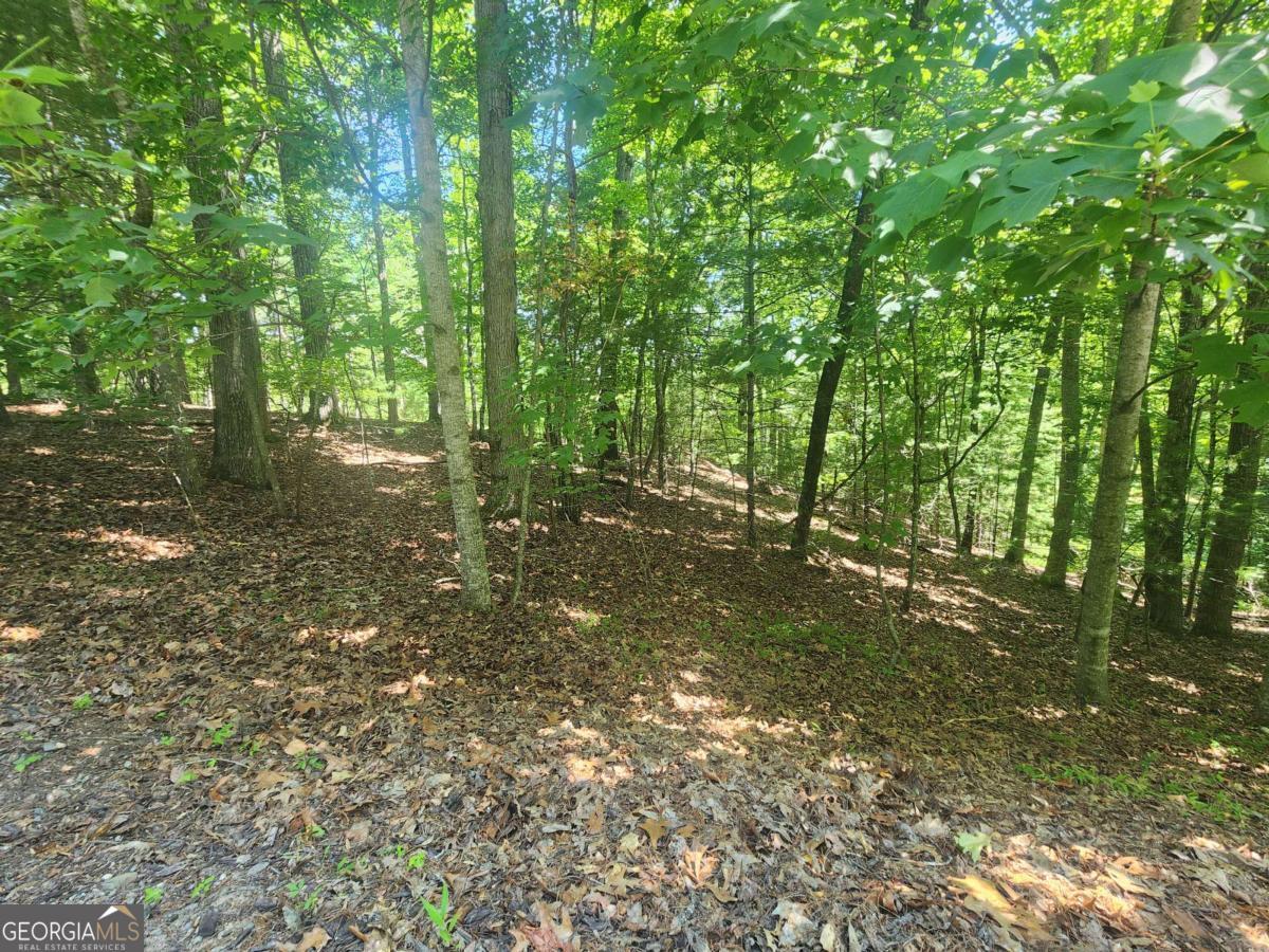 Lot 3 Meadow View Drive Morganton GA 30560