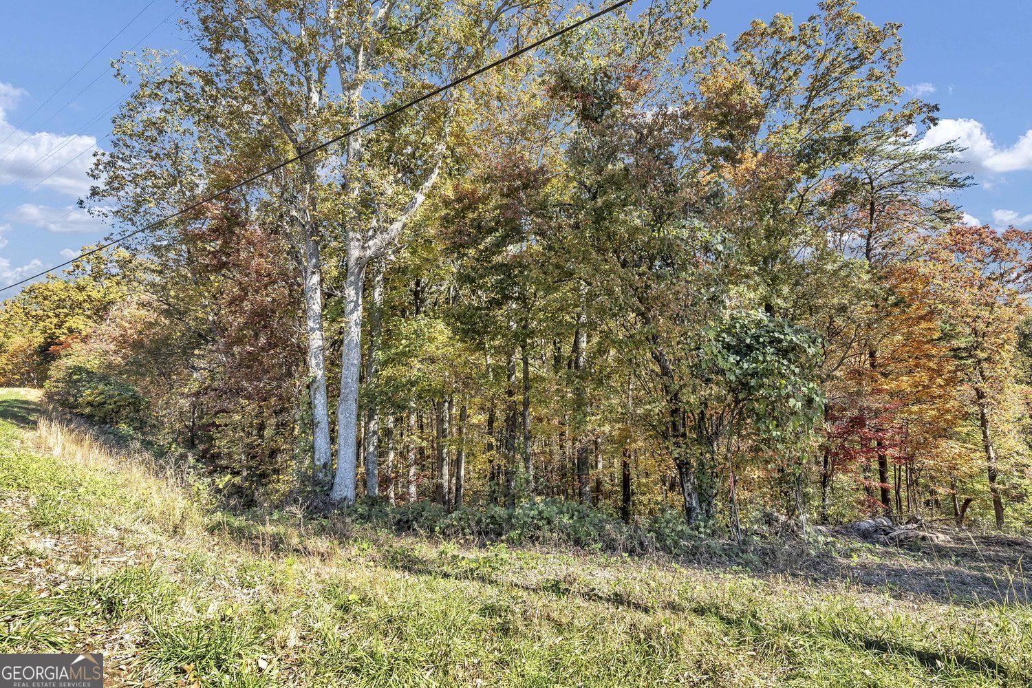 0 Highway 136 W Jasper GA 30143