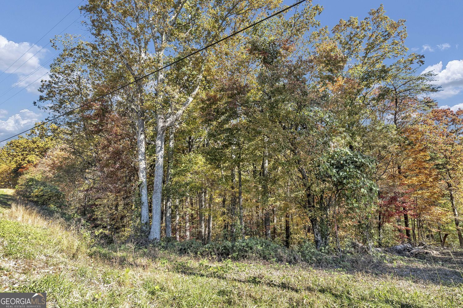 0 Highway 136 W Jasper GA 30143