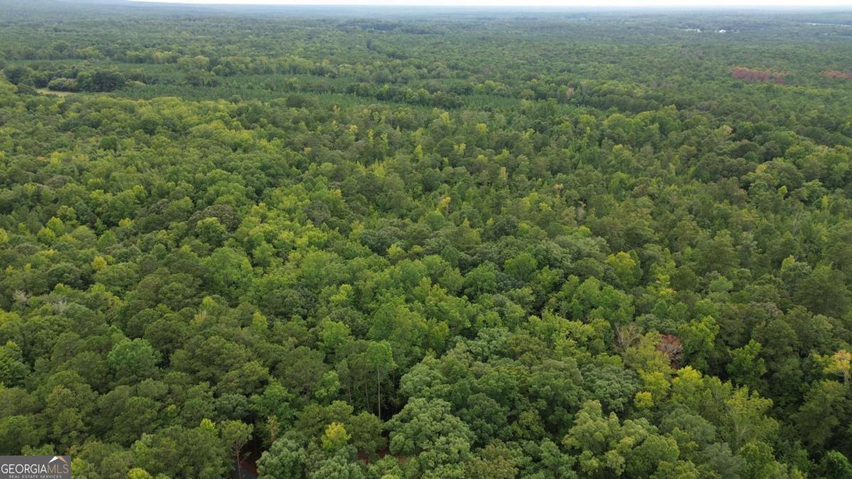 0 Roosevelt Hwy - 20.58 Acres Warm Springs GA 31830