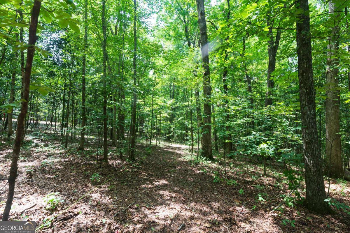 0 Roosevelt Hwy - 20.58 Acres Warm Springs GA 31830