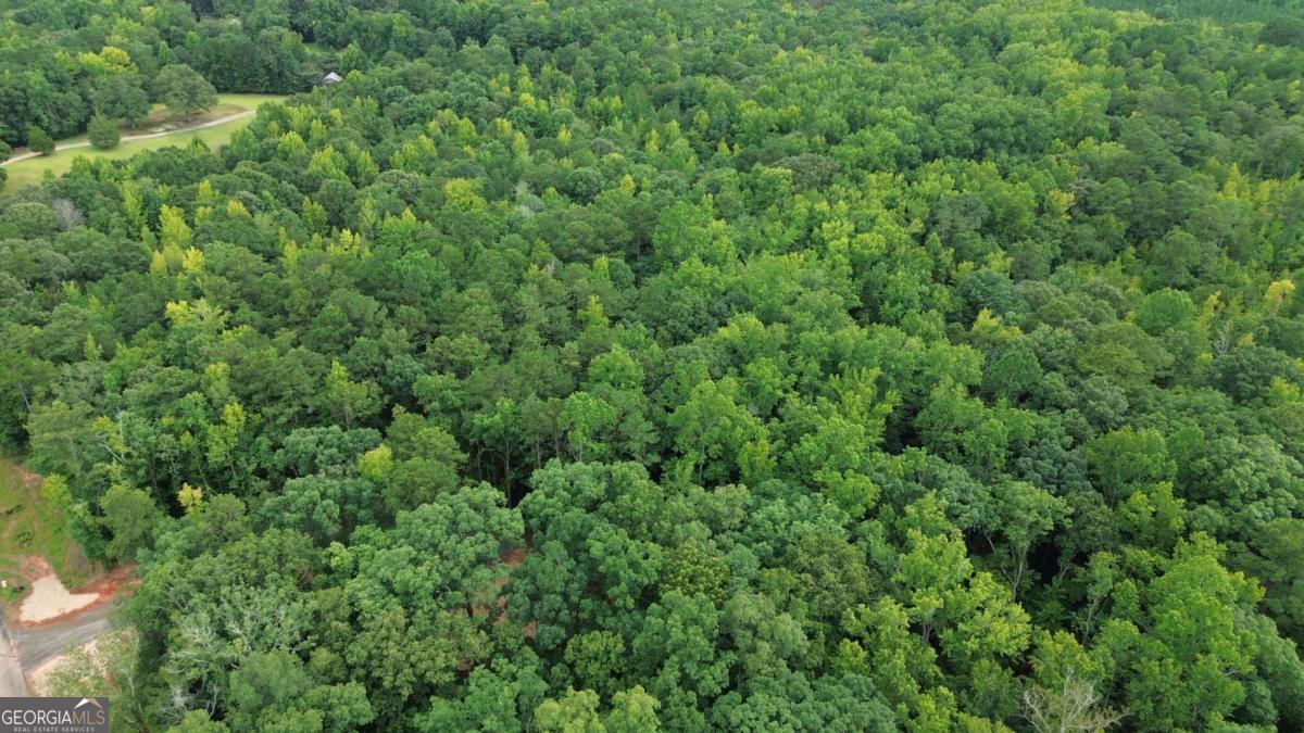 0 Roosevelt Hwy - 20.58 Acres Warm Springs GA 31830