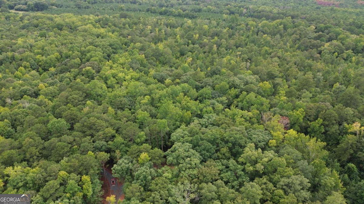 0 Roosevelt Hwy - 20.58 Acres Warm Springs GA 31830