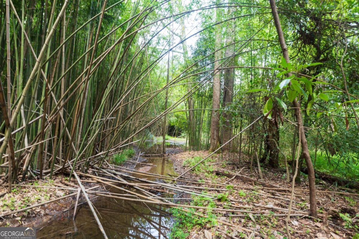 0 Roosevelt Hwy - 20.58 Acres Warm Springs GA 31830