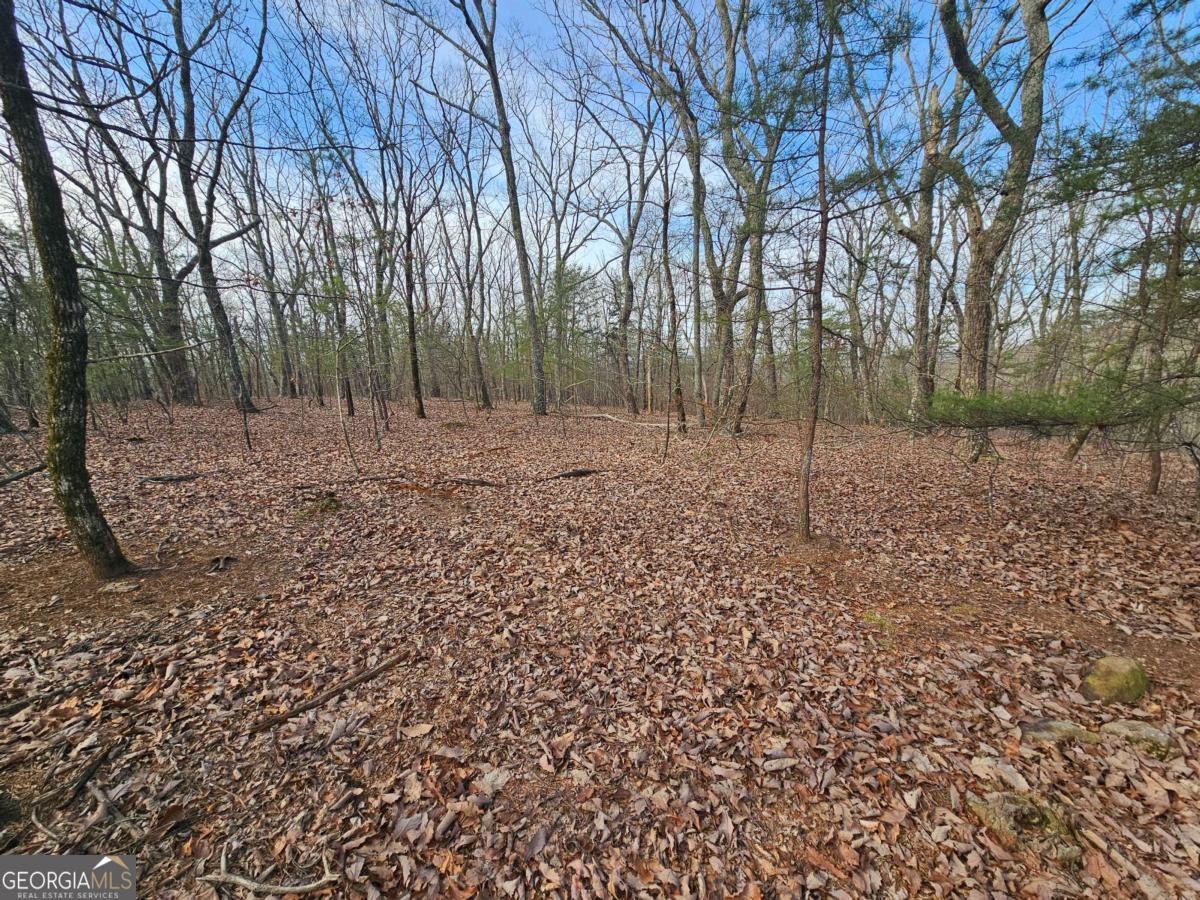 0 Old Federal Road Dawsonville GA 30534