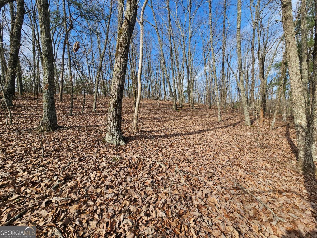 0 Old Federal Road Dawsonville GA 30534