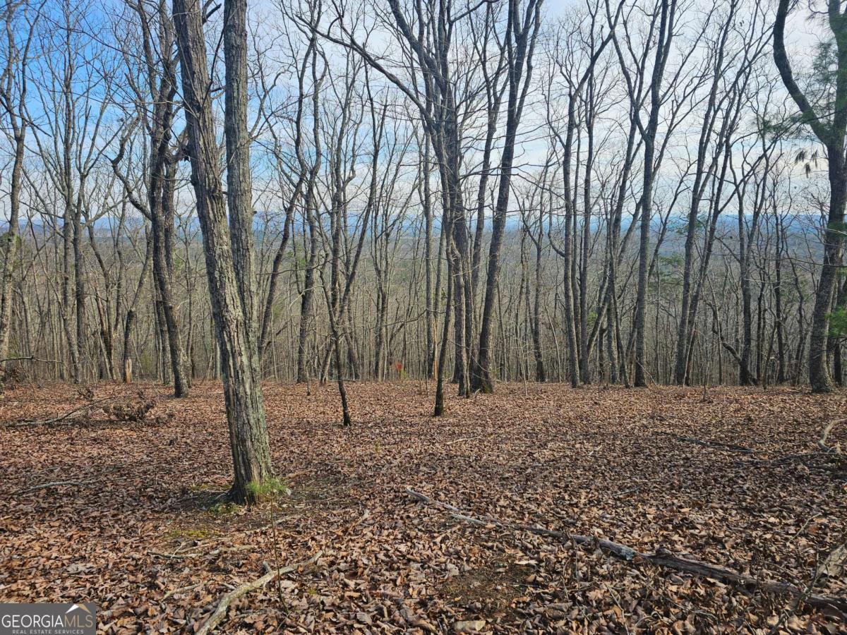 0 Old Federal Road Dawsonville GA 30534