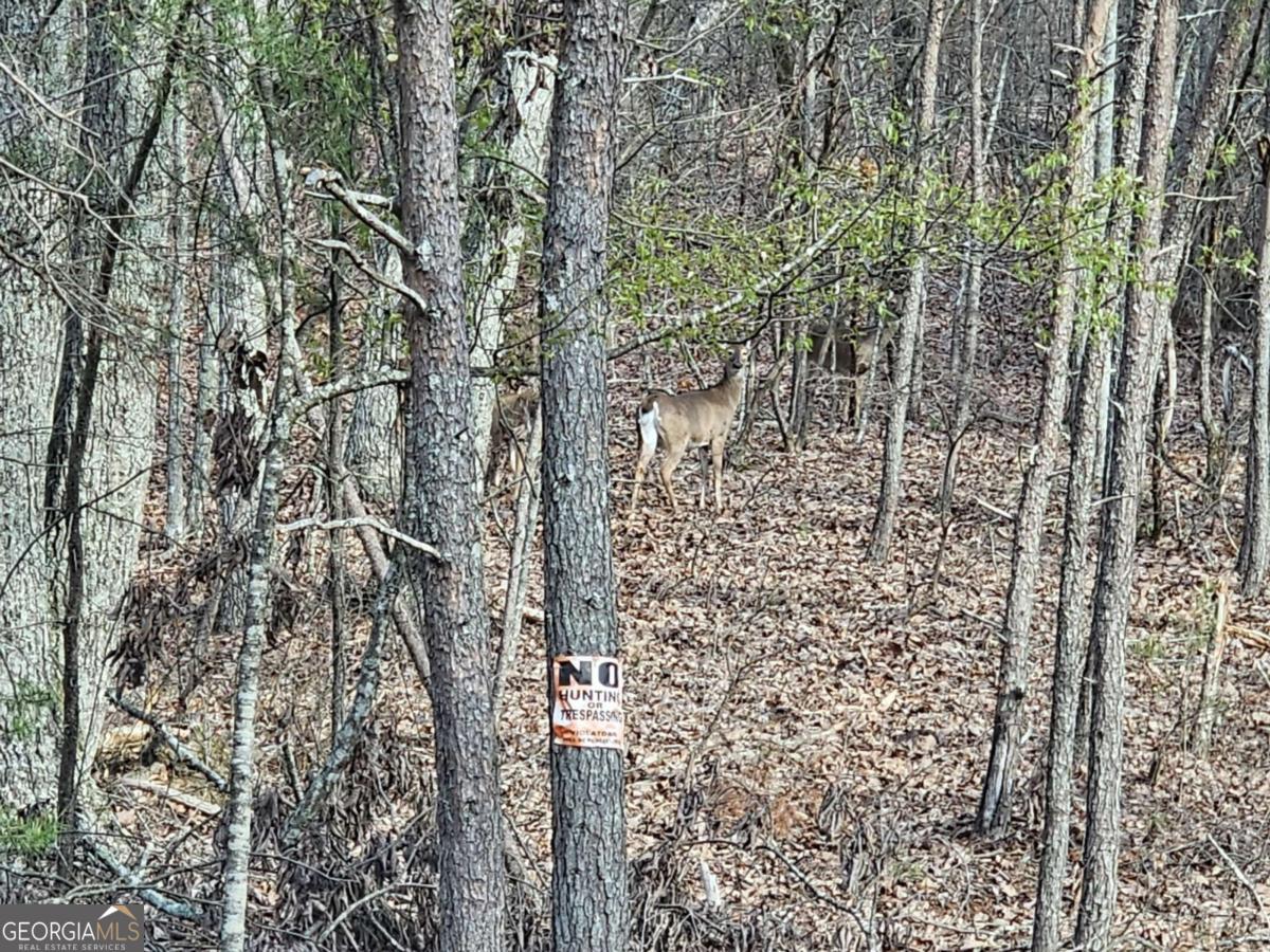 0 Old Federal Road Dawsonville GA 30534