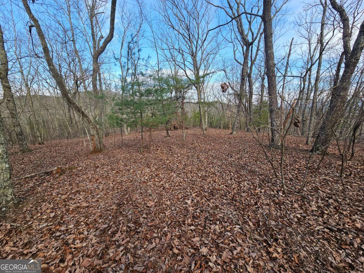 0 Old Federal Road Dawsonville GA 30534