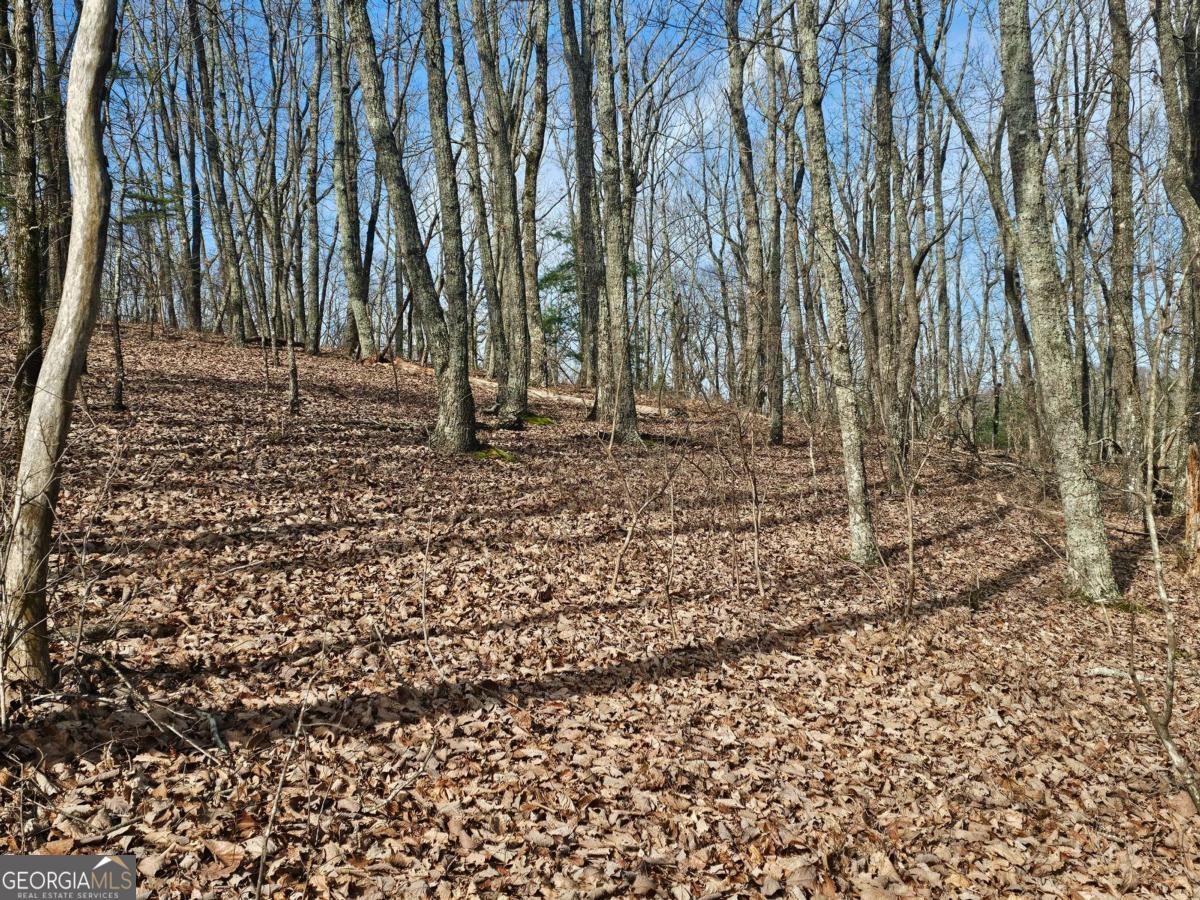 0 Old Federal Road Dawsonville GA 30534